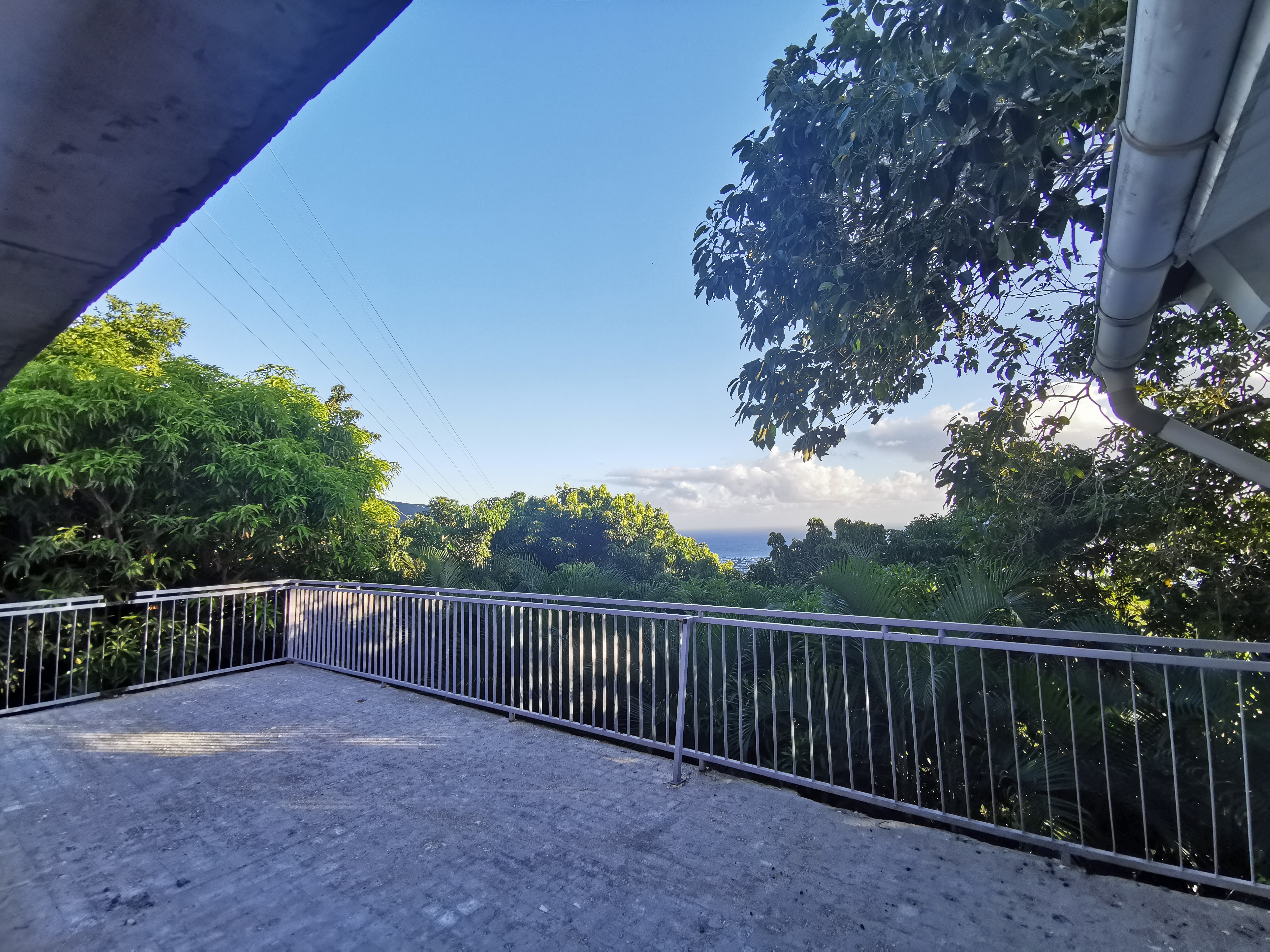 Élagage avant : vue bouchée