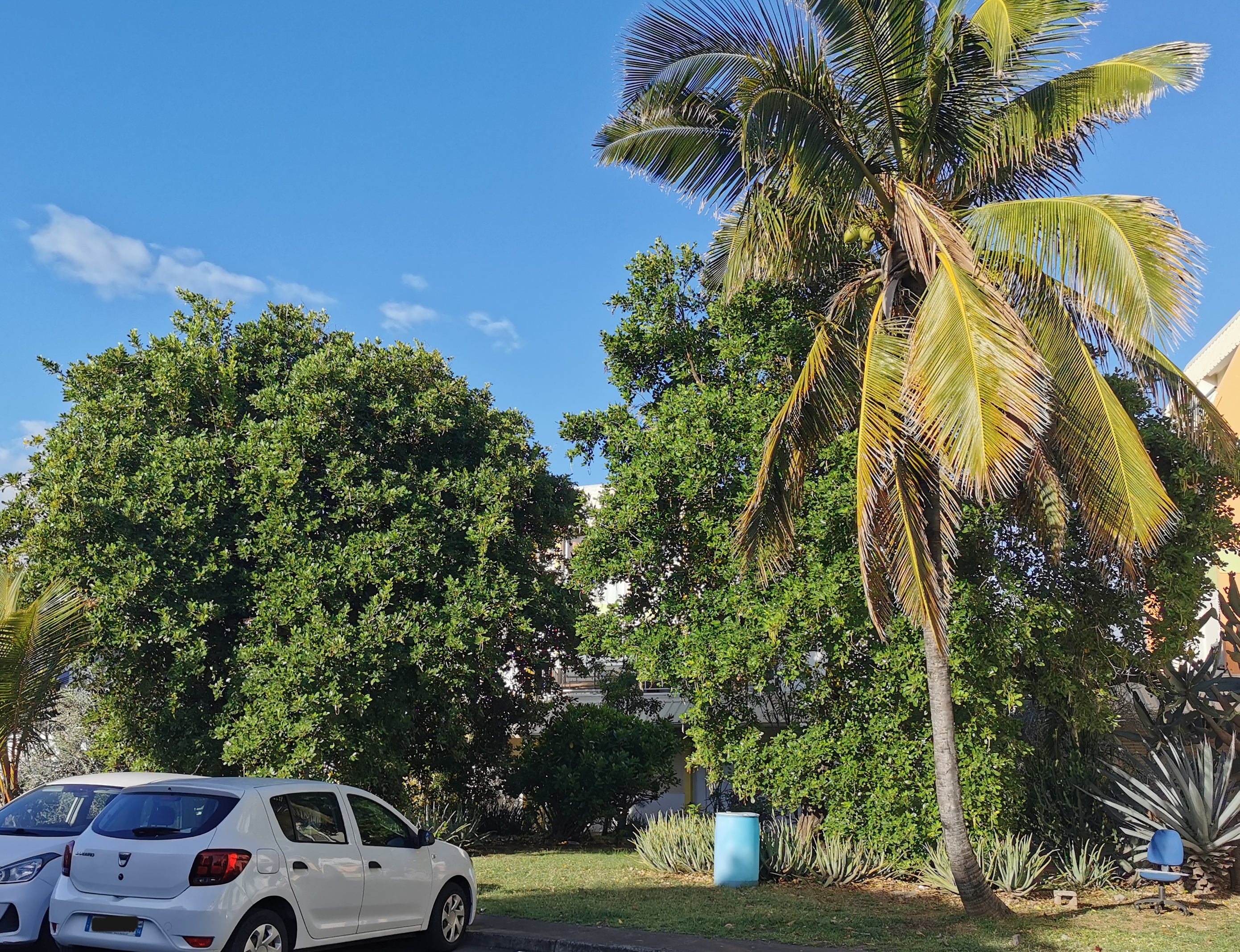 Taille de résidence avant