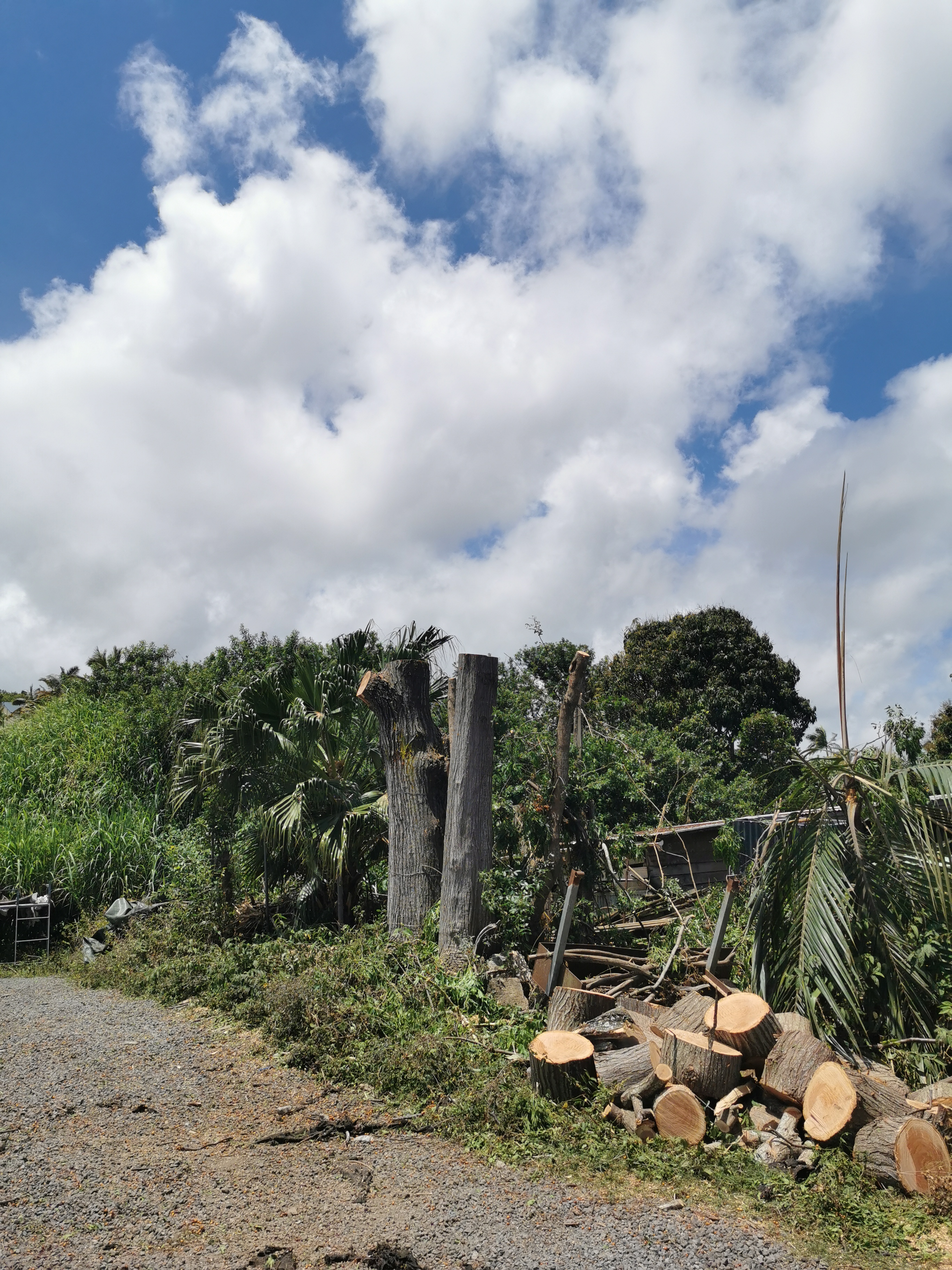 Après abattage et débitage