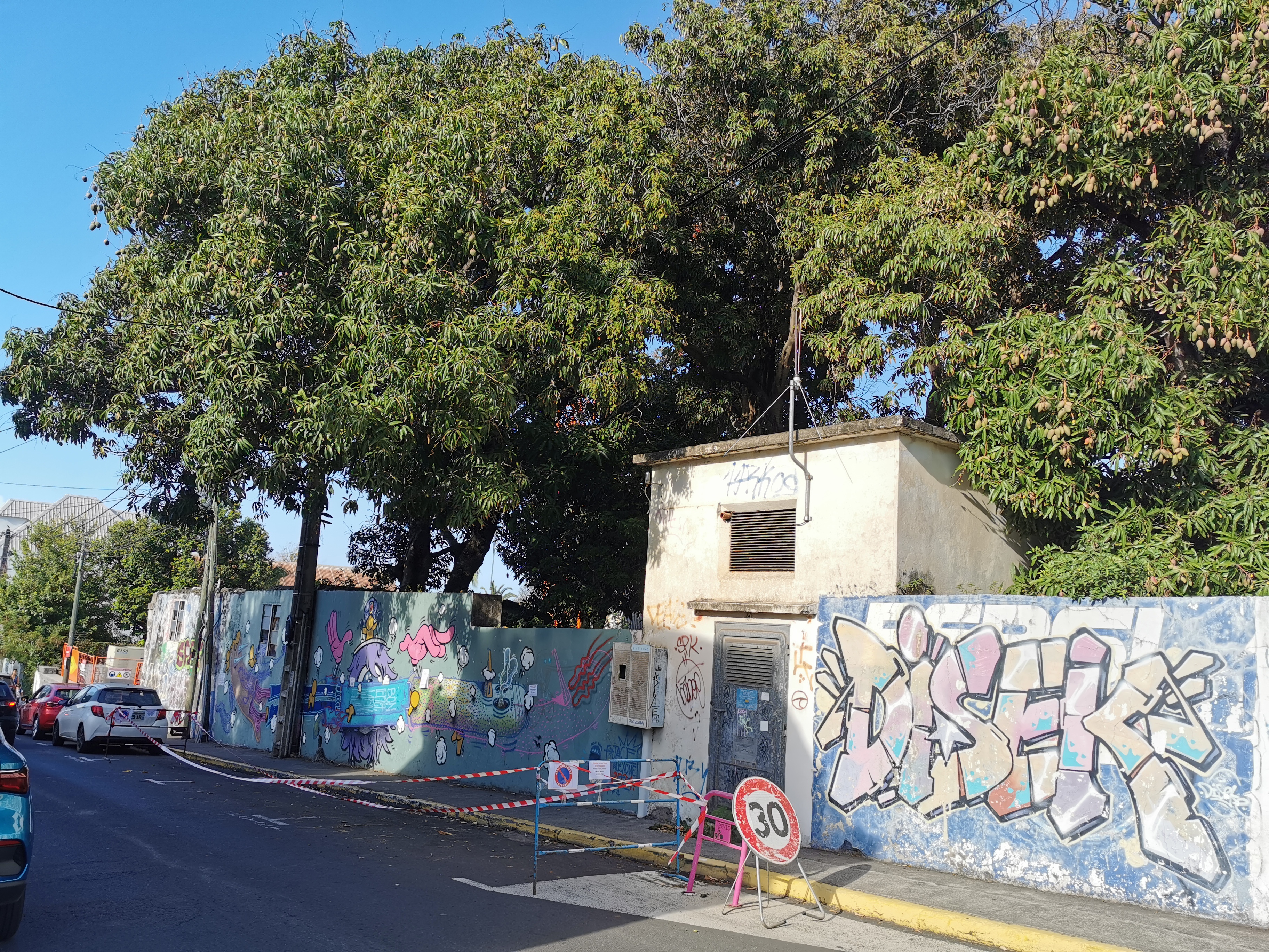 Élagage urbain avant