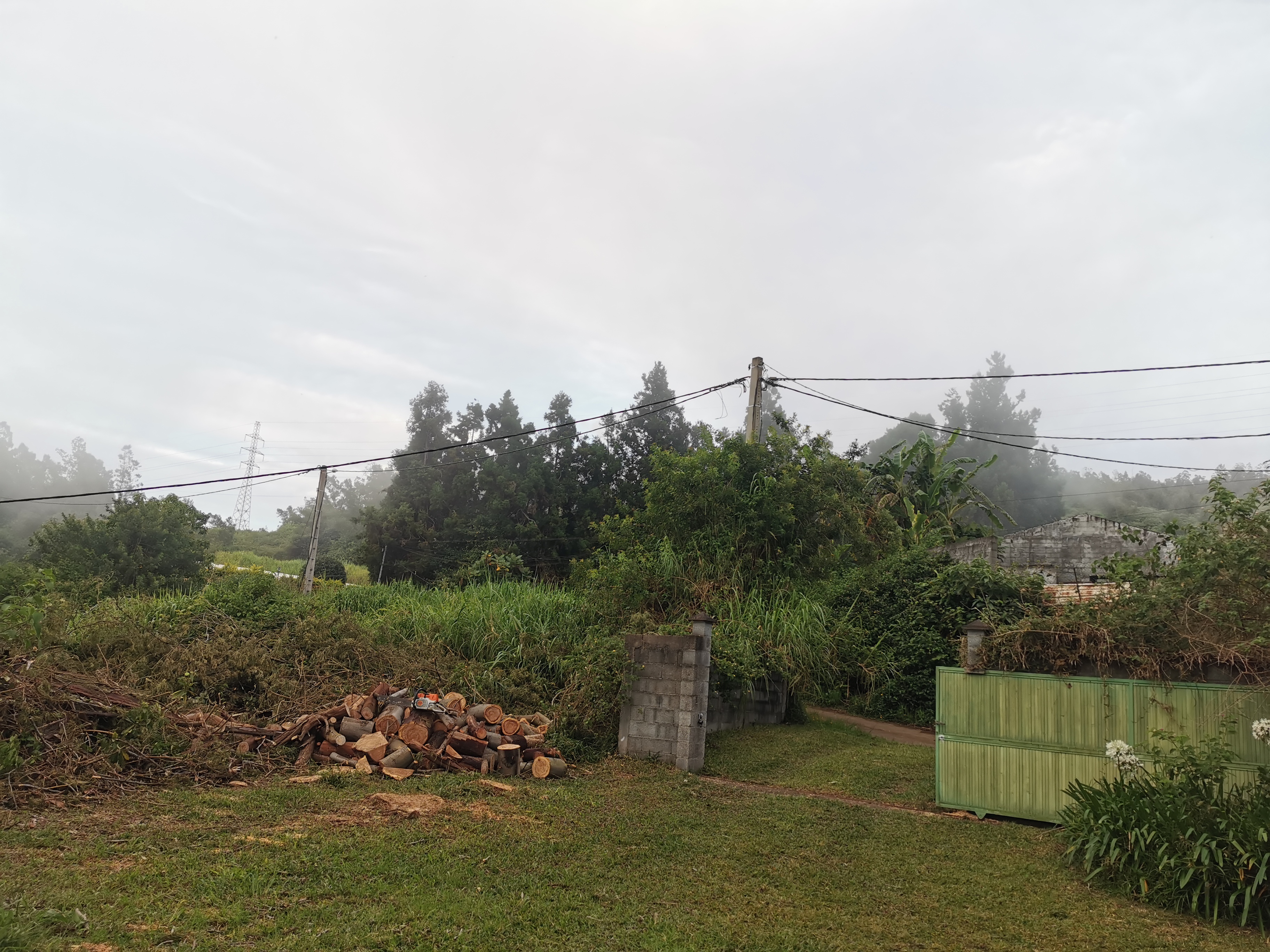 Terrain après abattage et évacuation