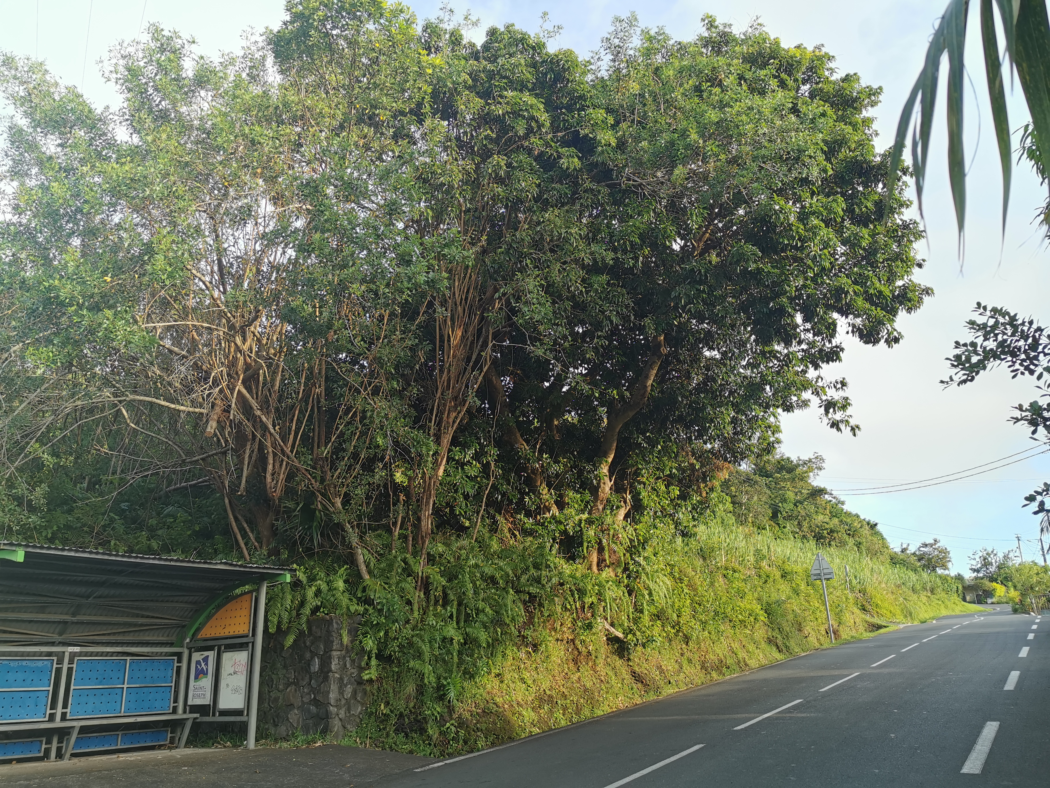Intervention sur route passante