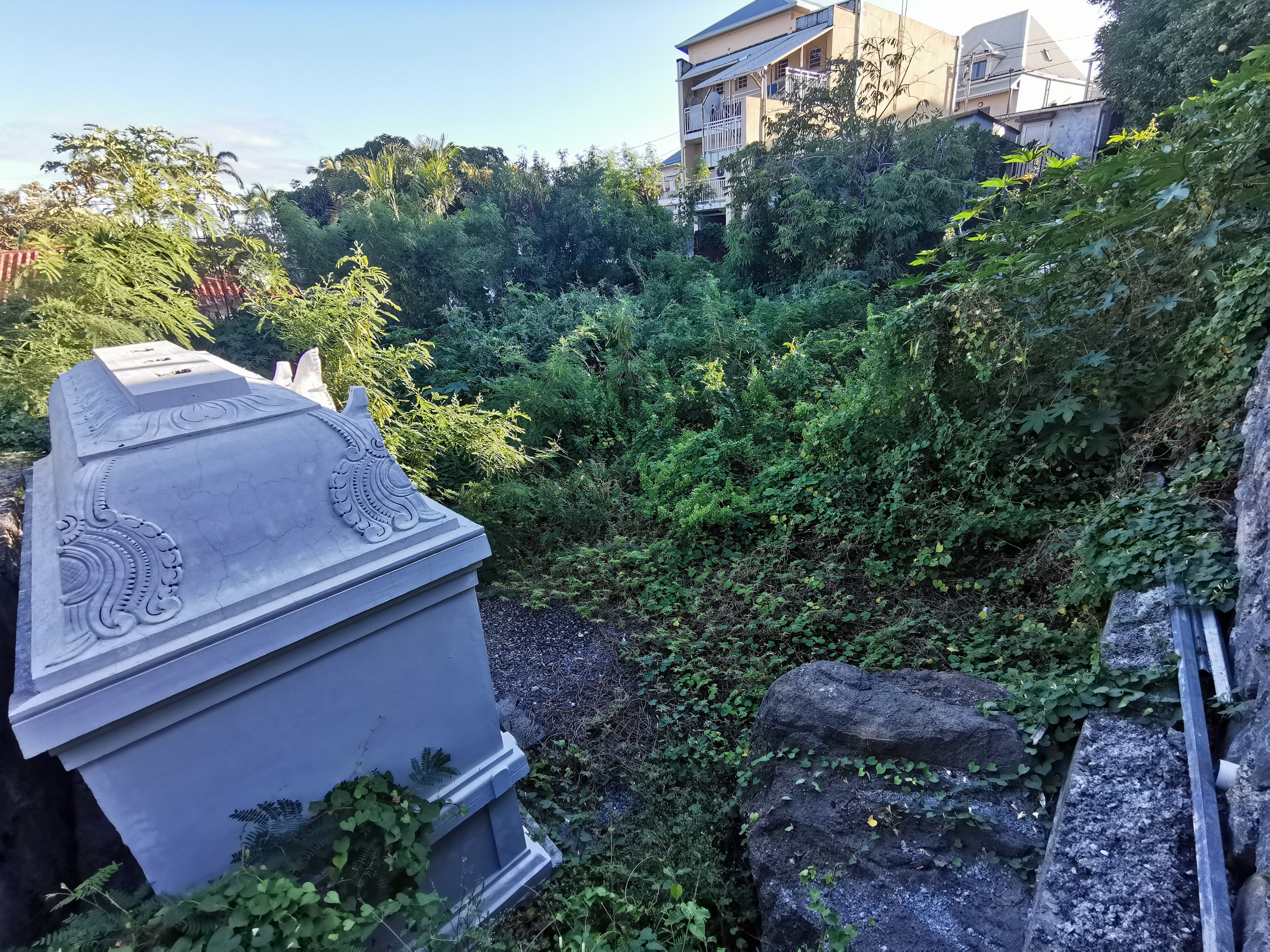 Terrain avant nettoyage