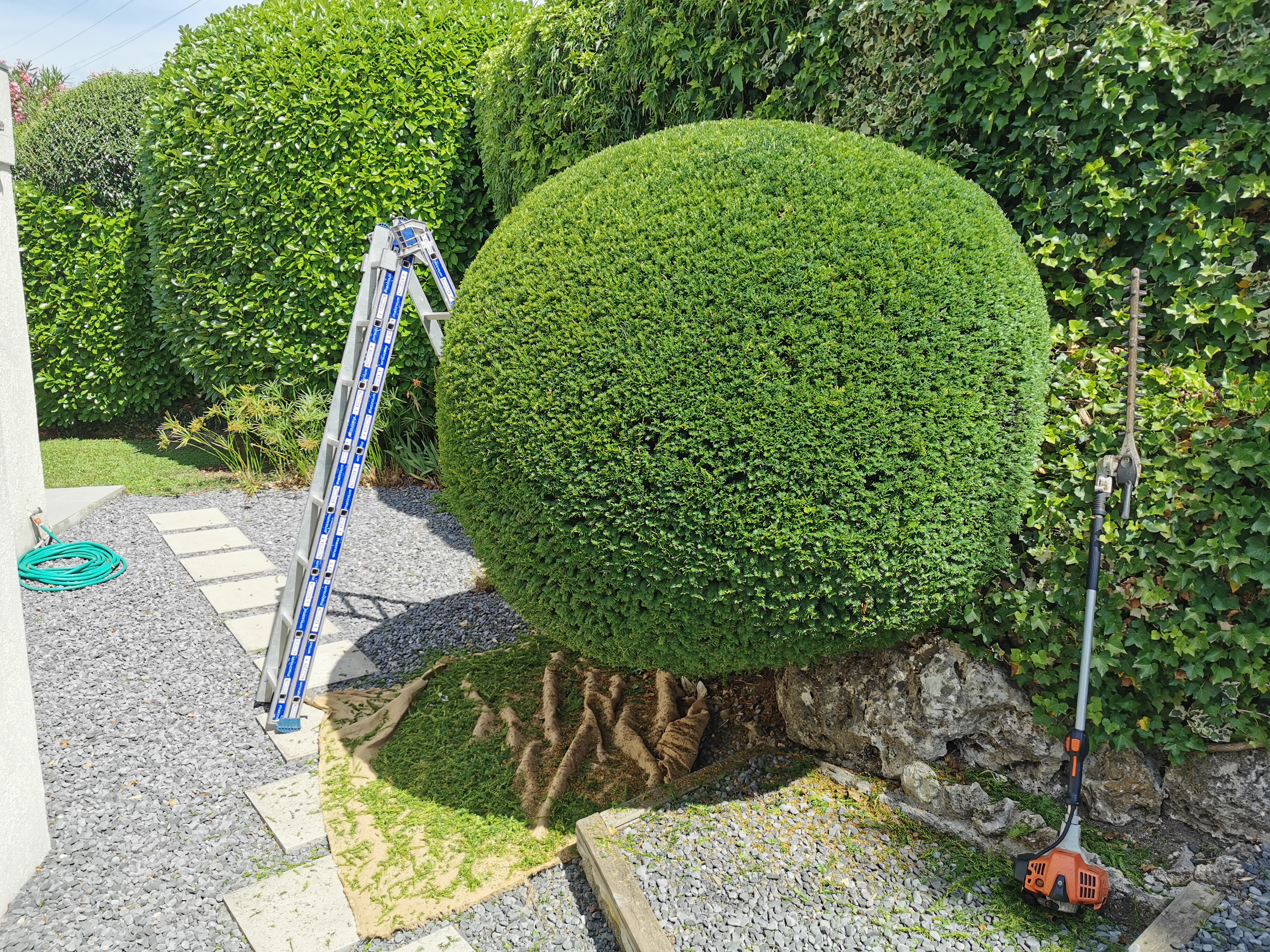 Nettoyage de terrain